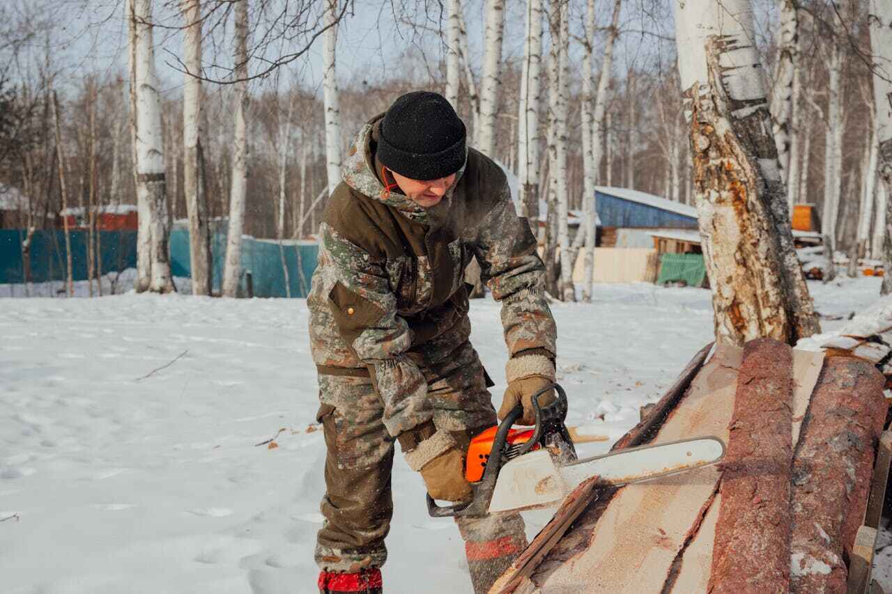 Palm Tree Trimming in Wakefield, MI